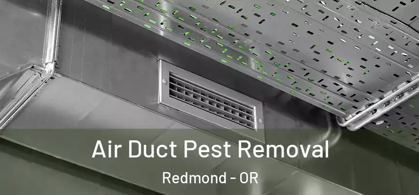 Air Duct Pest Removal Redmond - OR
