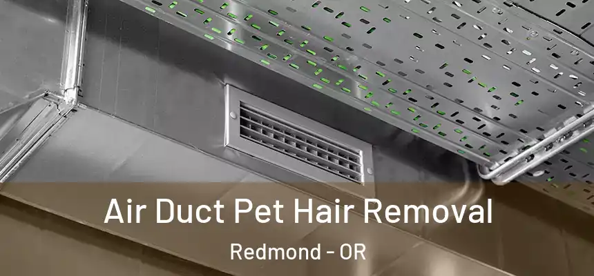  Air Duct Pet Hair Removal Redmond - OR