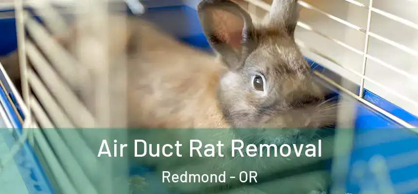 Air Duct Rat Removal Redmond - OR
