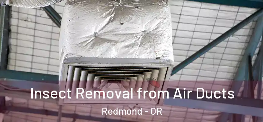 Insect Removal from Air Ducts Redmond - OR