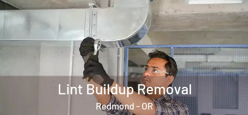 Lint Buildup Removal Redmond - OR