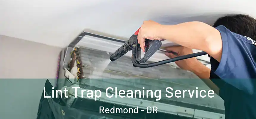 Lint Trap Cleaning Service Redmond - OR