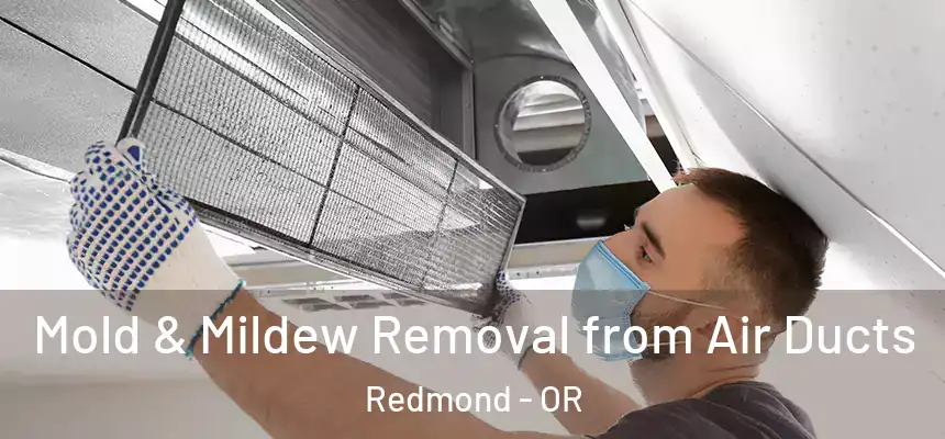 Mold & Mildew Removal from Air Ducts Redmond - OR