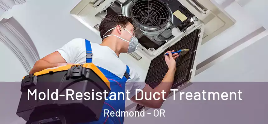  Mold-Resistant Duct Treatment Redmond - OR