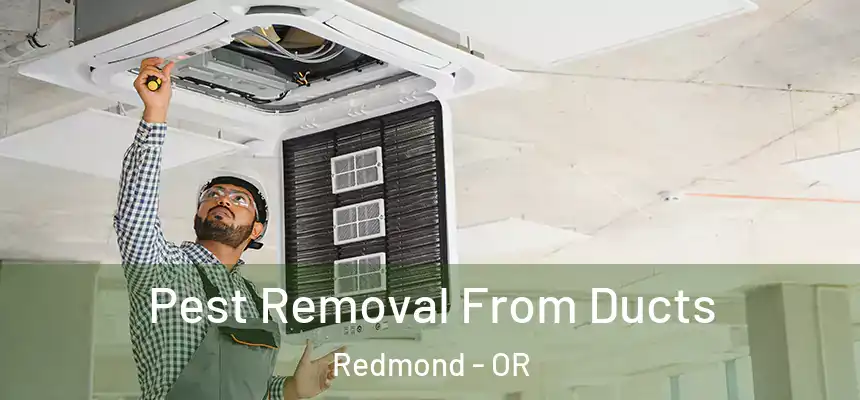  Pest Removal From Ducts Redmond - OR